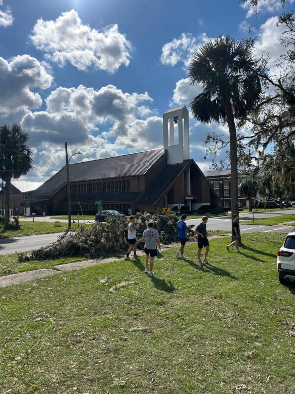 young men clearing trees