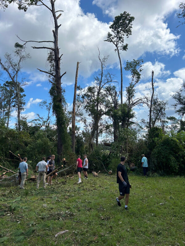 young men clearing trees