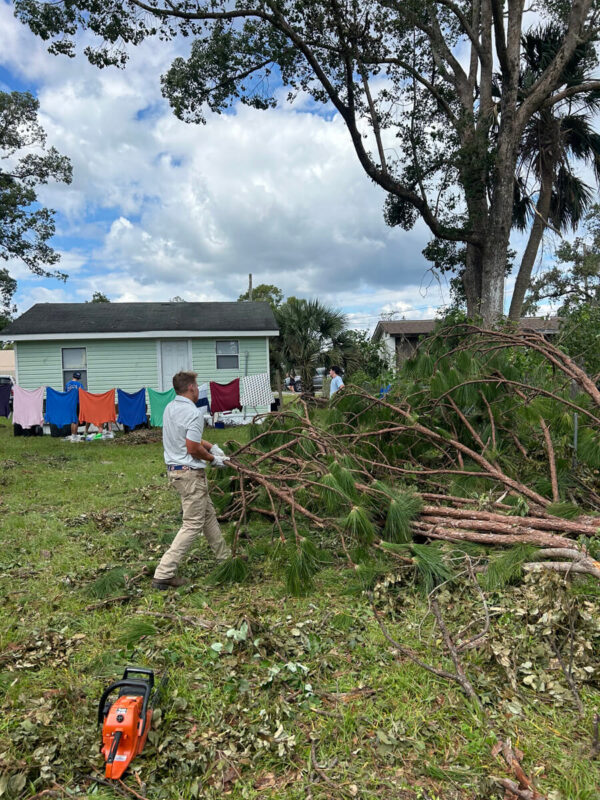 young men clearing trees